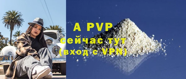 ГАЛЛЮЦИНОГЕННЫЕ ГРИБЫ Тихвин