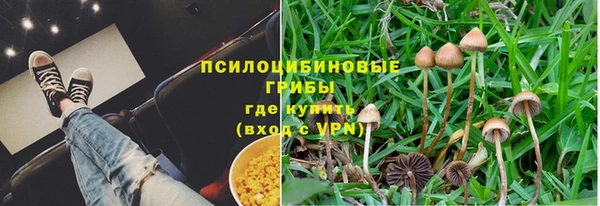 сатива Лагань