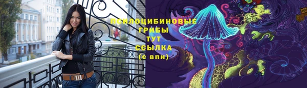 сатива Лагань