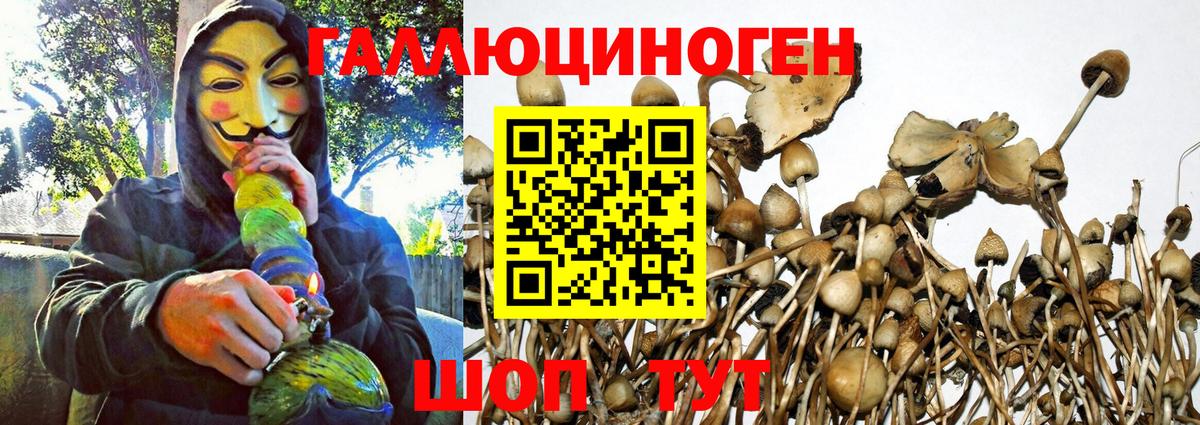 Псилоцибиновые грибы MAGIC MUSHROOMS Чайковский