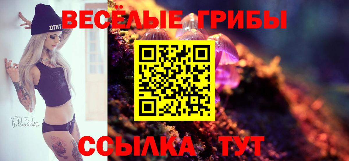 Псилоцибиновые грибы ЛСД Чайковский
