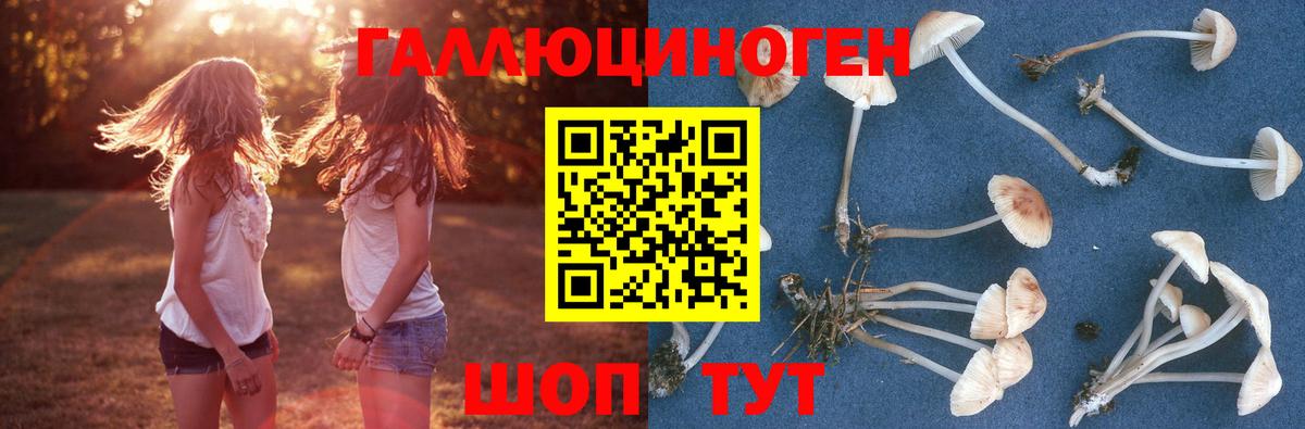 Альфа ПВП Чайковский